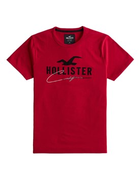 T-shirt Hollister ανδρικό