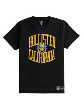 T-shirt Hollister ανδρικό