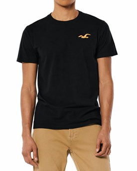 T-shirt Hollister ανδρικό